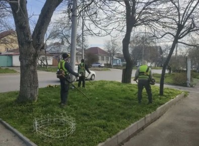 � ���������� ������������ ������ �� ������ �����