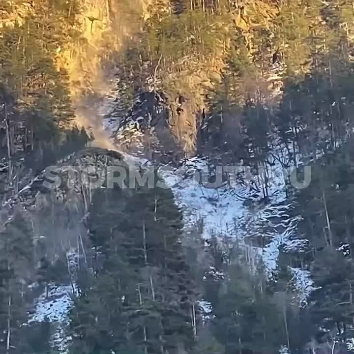 �������� � ���. ����� ����� 17 ������ ����� � �������� ������� � ���������� ������