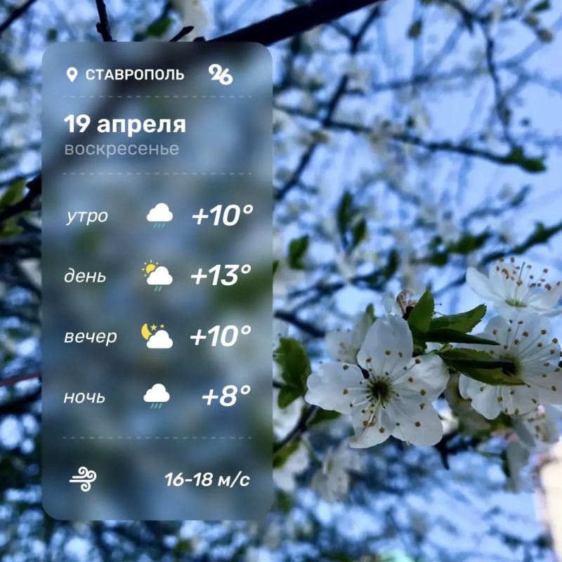 ������ � ���������� 19 ������