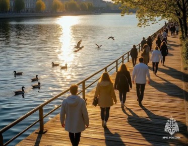 ������������ �� �������� ������