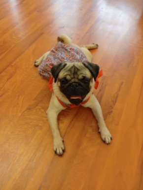 ���� ���� ���������� � ������ � ������������!