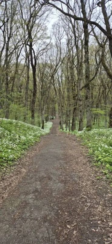 ��������� � ��������� ���� �������