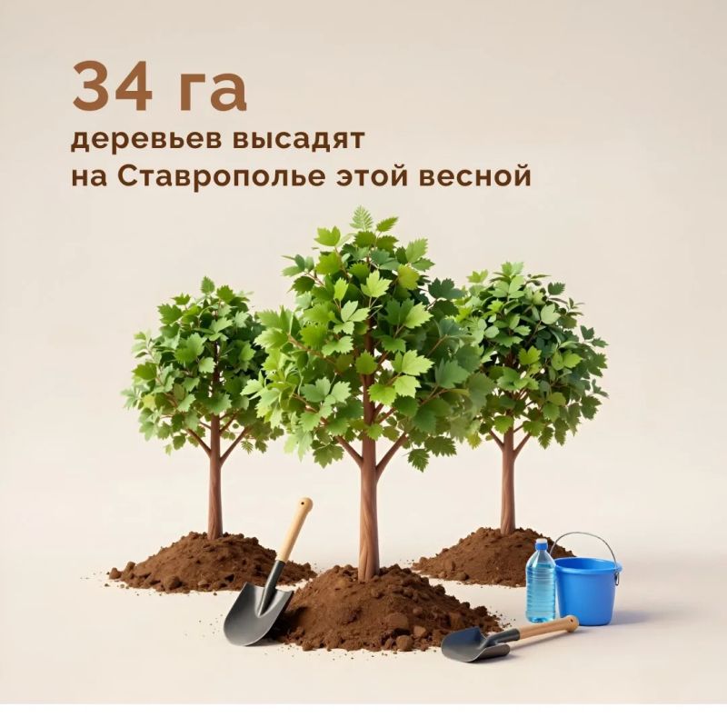 � �������������� ���� ������� 34 �� �������� ���� ������