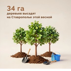 � �������������� ���� ������� 34 �� �������� ���� ������