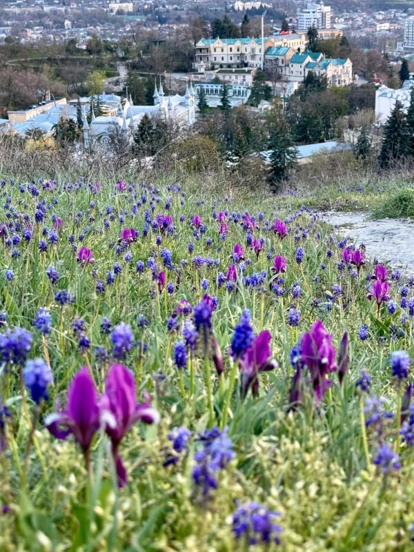 ��������� ��� ����� ���������� ������