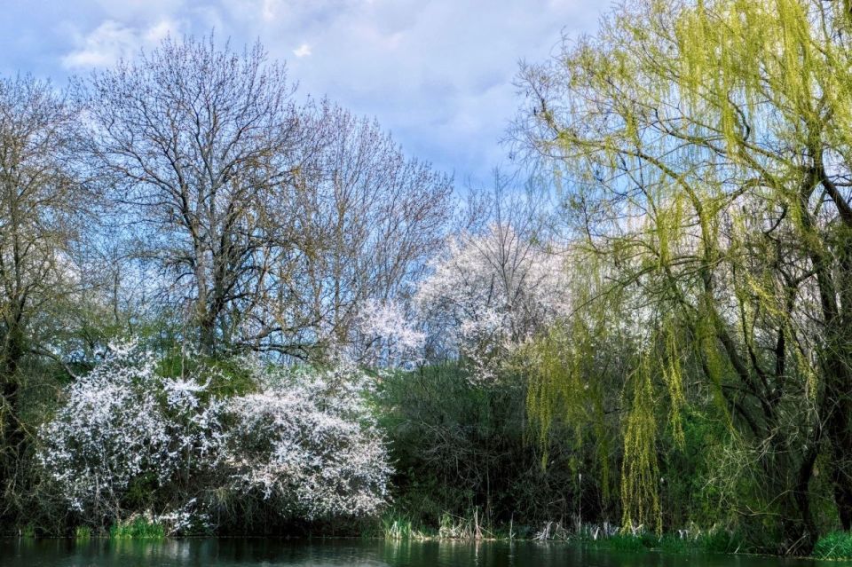 ������� �����������. ��������� ���, ���������� �������� ���������� ��������� �� ��� � MAX