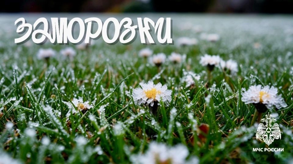 ��������. ��������� � ������� � �� ����������� ����� -1�...-3�� ��������� ������� � �������������� ���� ����� � ����� 21, 22 � 23 ������ 2026 �. � ���������� ����� �������� ����������� � ��������� ������ ������ �����������...