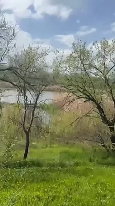 � ������������� �������� ���������� ������ � ������� ����������, ��� ����� ������