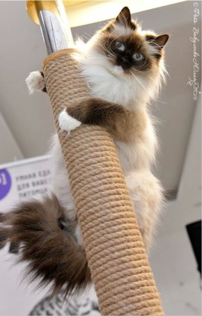 ����� ������ ������� ������ ������� ���� ����!