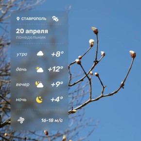 ������ � ���������� 20 ������