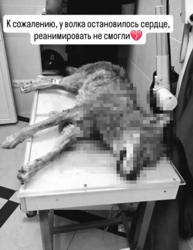 ����, ������ �� ������ � ���, �� ������� ��������