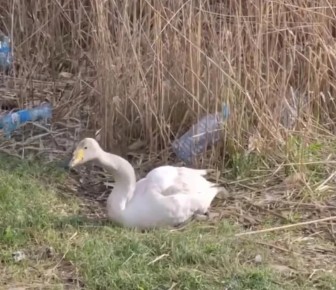 ���������� ������ � ���������� ���������� ���� �������� � �������������