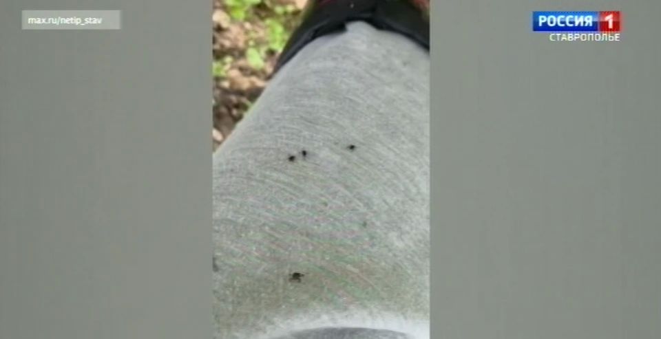 ����� ������� ������� �������������