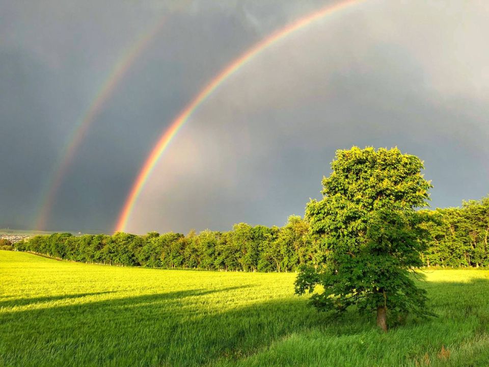 �� ���� �� ����������. ���� ������� ��������� �� ��� � MAX