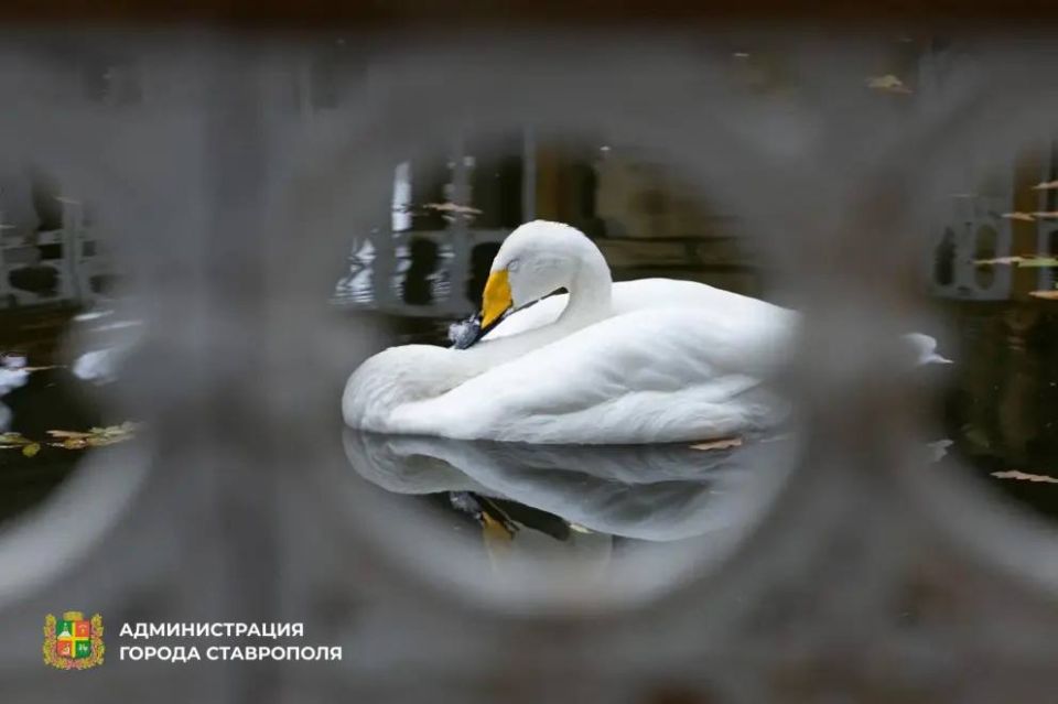 ����� ������ ��������� � ����������� ���� ����������