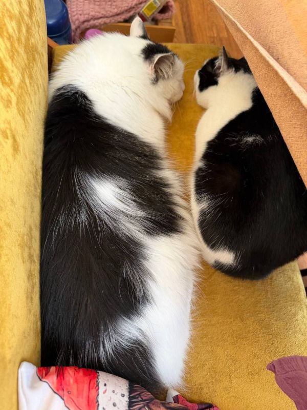 ������ ������� � ����� ���������� �� ���� ���, ���� ������� �� ����������� ��������