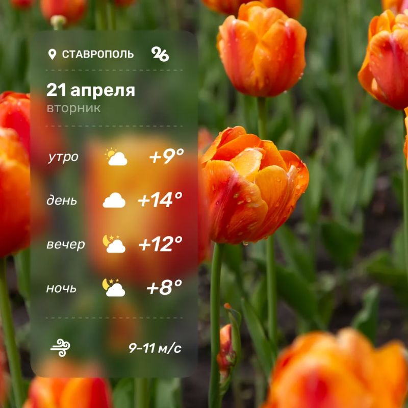 ������ � ���������� 21 ������