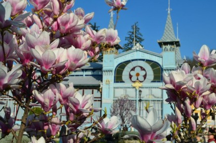 ���� ������� � ����������. ������� ������� ��������� �� ��� � MAX