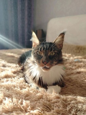 ����� ������ ������� ���� ��������� ���������� � ����� �����