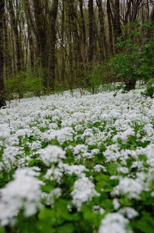 ���������� ������. ��� ������ � ����? ����� ��������� ��������� �� ��� � MAX