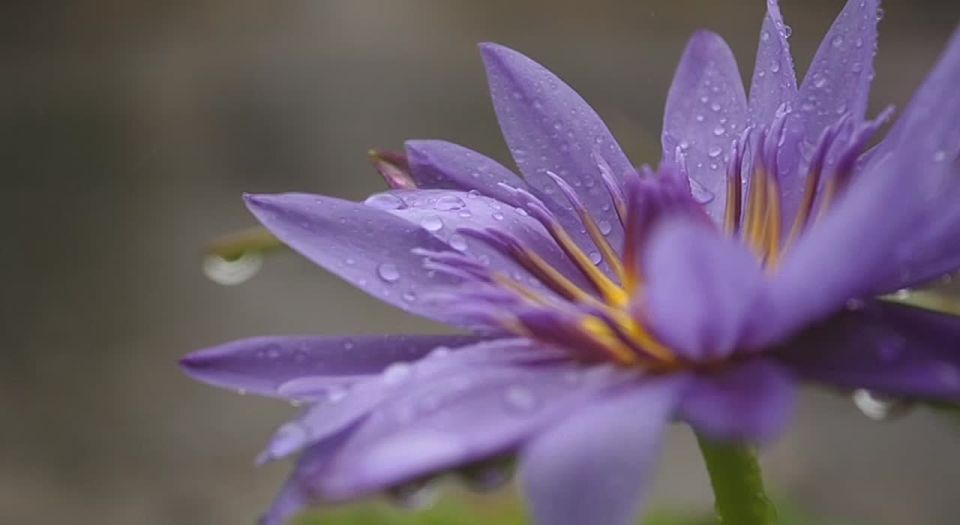 �� ������ ����������, ������ �� ����������� ������� �����