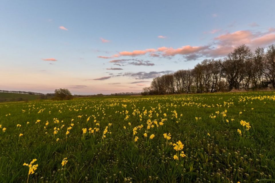 �������� ����������� � ���, ����� �� ����������� ������ ���� �����