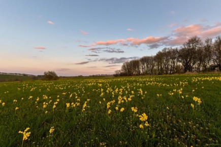 �������� ����������� � ���, ����� �� ����������� ������ ���� �����