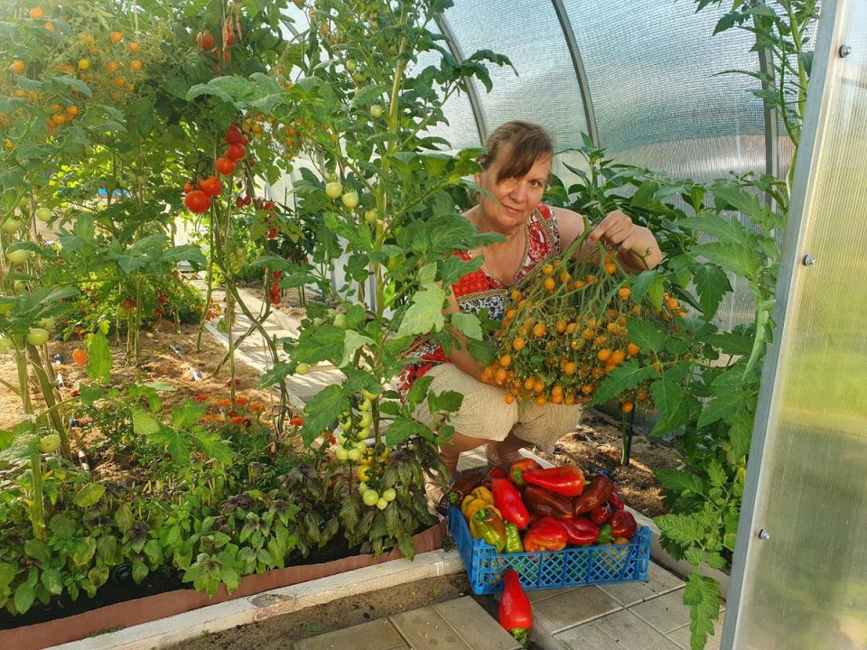 ��������� ������� � �������: ������� ��������� ������