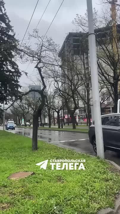 �������� ������ ���������� ���������� �� �����������