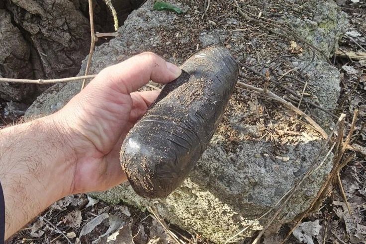 ������������ � ��������� ������ �� �������� ������� ������ ���������� �������� ������� ������