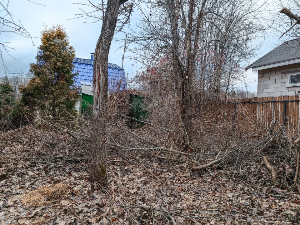 ��� �������� ������ �� ������ �����