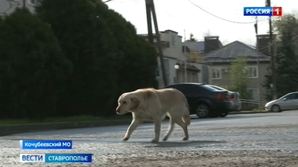 �� ����������� ���������� ������ ��������� �����