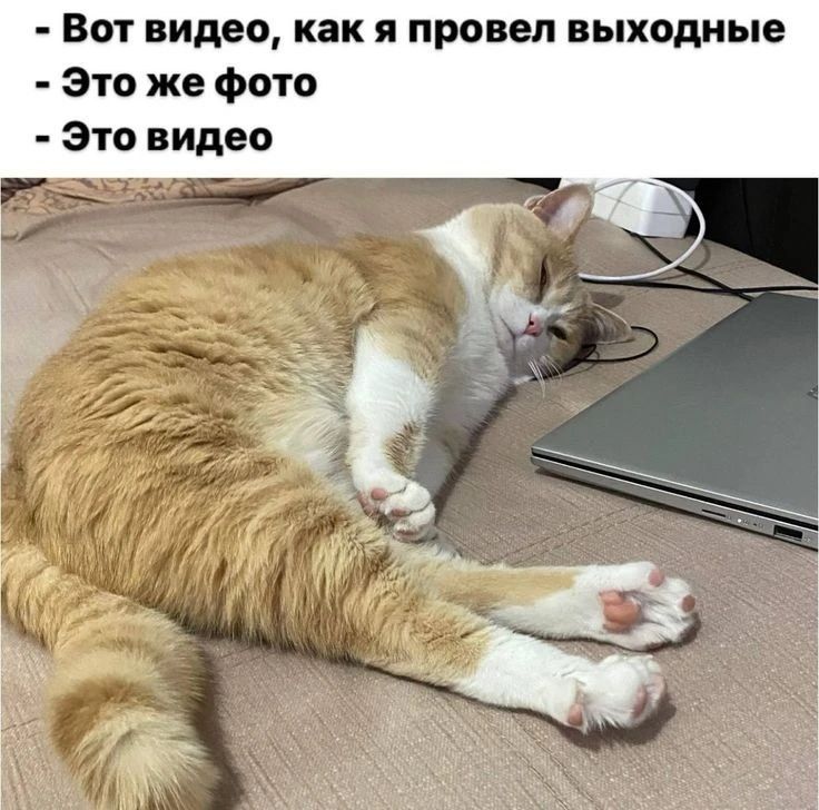 ����������� ��� ���, ��� ���� ��������� � ������� � ������� ��-�� ������