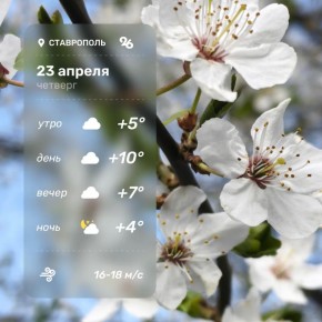 ������ ����!. ������ �� �������