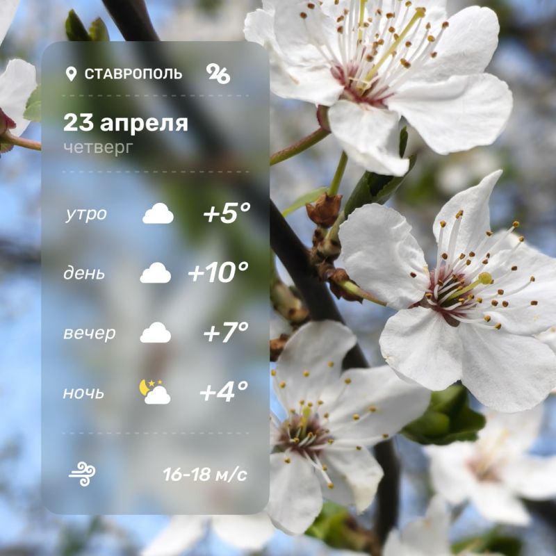 ������ ����!. ������ �� �������