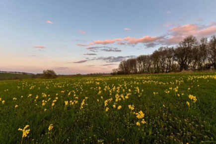 ����������� � ���, ����� �� ����������� ������ ���� �����