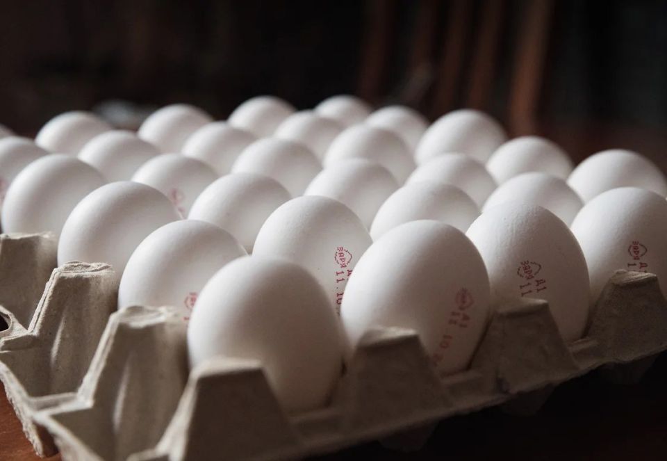 �� ����������� � ������ �������� ������� ������������ ������ � ���