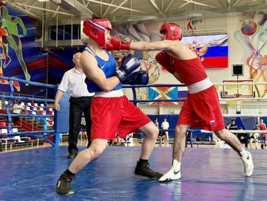 ������� ������������ �� ����� ����� ������ � �������, ����������� 81-� ��������� ������� ������, ��������� � ����������