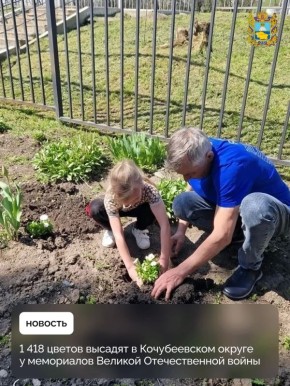 � ������������ ������ � ���������� ��� ������ ���������� ����� �81 ������ ����