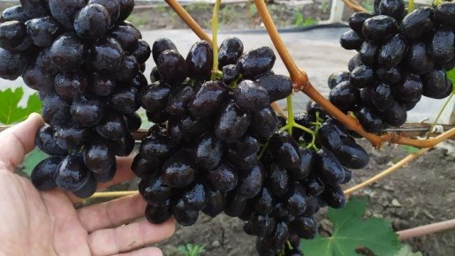 �������� �����: �������������� ������ � ���������� ������