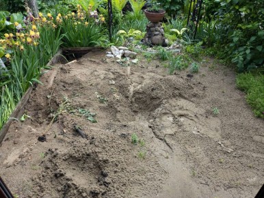 ������������� ������� ���� ����: ��� ������������ ����� ���������� �����������