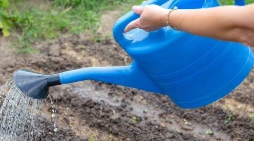 ��� ��������� �������� � ������ �����: ������������ ������ ��� ��������