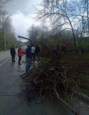 ������������ ������������� �� ������������� ����������