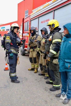 � ���������� ������ �� ���� ������� �������� �������� (�� ��������)