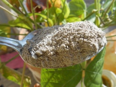 ������� ������ ���������: ����� �������� �� ����� ����?