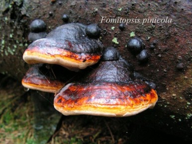 ��������� �����: ����� ����� � ������� ������