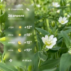 ������ � ���������� �������