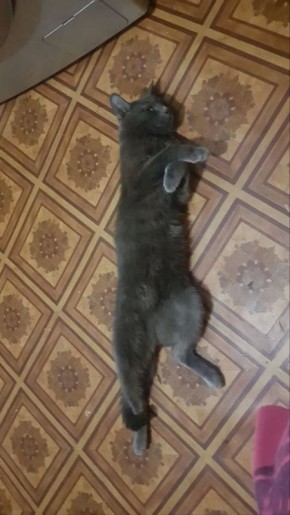 �������� ������ �� �����, ��� �������� �������� ������� ������