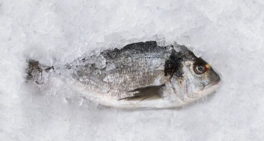 ������������ ��� ����������� ����: ��� ������� ��� �������� � �����?