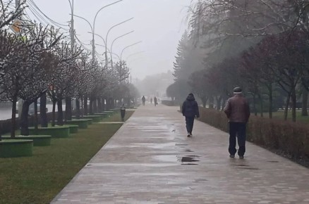 ������������ ������ �� ����������� ���������� ���������� � ��������� ������������� ������